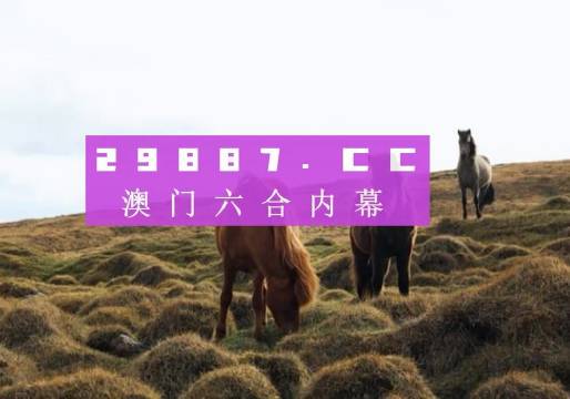 澳门六开奖结果2025开奖记录查询｜全面把握解答解释策略